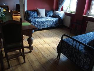 Refined Flat in Jezyce District - 2