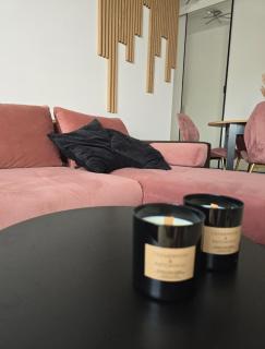 Apartament Dolina Baryczy Milicz - 3