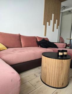 Apartament Dolina Baryczy Milicz - 4