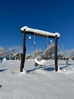 Tea House Ponoarele - 7