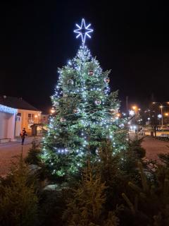 Apartmán Emma Volary - 9