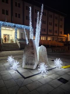 Apartmán Emma Volary - 7