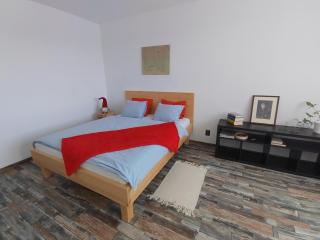 Apartmán Emma Volary - 4