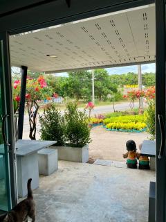 Flower garden room - 1