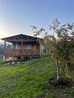 Cabañas de campo - 8