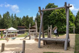 Berggasthof Heuberghaus, direkt am Rennsteig - 2