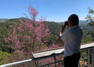 Samstay Đà Lạt - 8