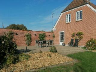 Nature Gem Near Haderslev With 160-Year-Old Beech - 9