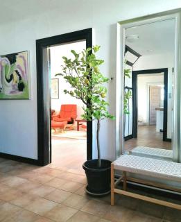 Nature Gem Near Haderslev With 160-Year-Old Beech - 7