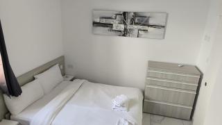 Large Terrace with Valletta Views - 5