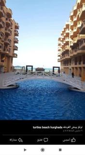 Hurhgada concierge at Turtles beach resort - 0