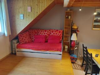Duplex de 55m2 dans le centre de Lans-en-Vercors - 0