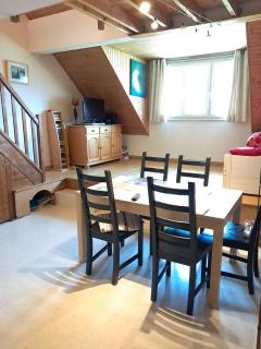 Duplex de 55m2 dans le centre de Lans-en-Vercors - 9