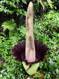 Sama Sama Homestay & Trekking Only Stay Here Book Trekking and Transport With Us - 7