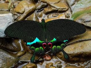 Sama Sama Homestay & Trekking Only Stay Here Book Trekking and Transport With Us - 8