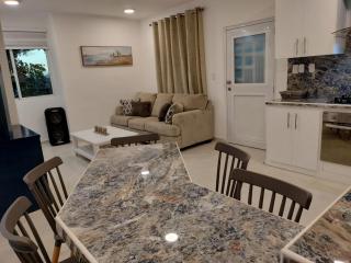 Dominique ugolin - 1