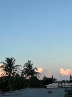 Casa das laranjeiras - 7