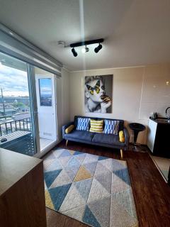 Furnished apartment Puerto Montt - 7