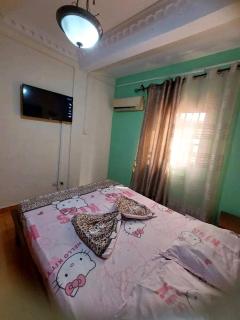 Alicha immobilier - 3