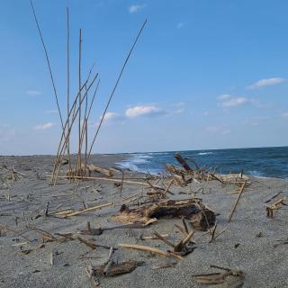 Appartement 63 m2, tout confort, climatisé. - 5