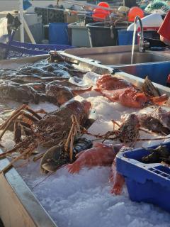 Appartement 63 m2, tout confort, climatisé. - 6