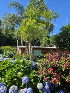 Casa de campo em Carlos Barbosa - Serra Gaúcha - 0
