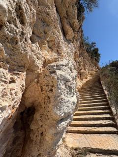 Apartments Antonella - 1