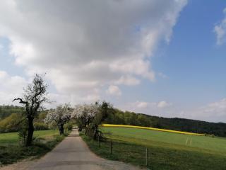 Dietlinds Apartment - 4