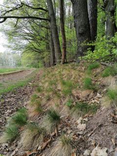 Dietlinds Apartment - 3