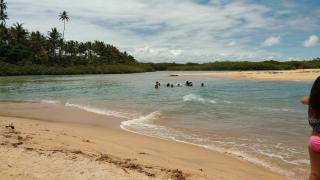 Mini Recanto da Rosalina - 6