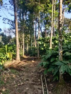 Golden Valley Abode - 2