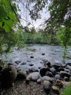 Cabaña en Panguipulli, lugar tranquilo - 7