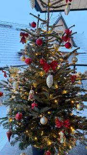 Apartament Betlejemka - 5