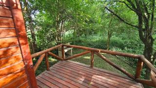 Cabaña Natural Del Bosque - 8