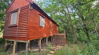 Cabaña Natural Del Bosque - 5