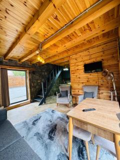 Sapanca Küçükköy - 2