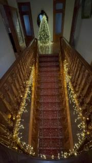 Green villa panorama - Batumi - 9