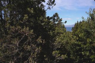 Casa de los Cerezos - Bosque, tranquilidad y excelente ubicación - 6