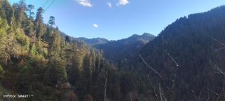 the clifton chapter tirthan - 6