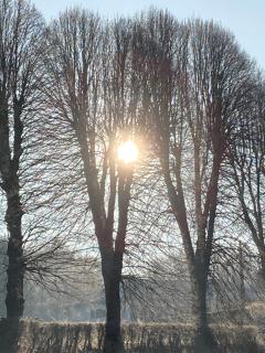 SLEEP INN Bed&Breakfast - 3