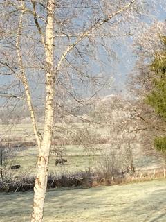 SLEEP INN Bed&Breakfast - 2