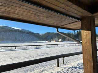 WHITE BROOK Luxury Chalets with Jacuzzi - Dolina Chochołowska - Kościelisko - Zakopane - Tatry - 6