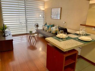 Gran Suite a pasos del Metro Santa Ana - 6