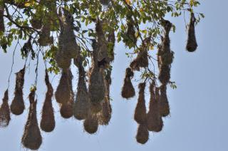 Cerroazulfarmlodge - 5