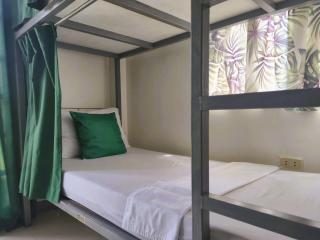Green Turtle Backpackers Guesthouse, Puerto Princesa - 2