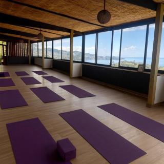 Inyoni Boutique Hotel and Restaurant - 3