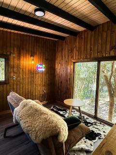 Cabañas Mountain Fox -Chilote - 3