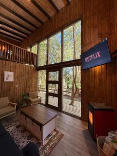 Cabañas Mountain Fox -Chilote - 4