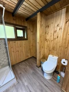 Cabañas Mountain Fox -Chilote - 5