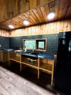 Cabañas Mountain Fox -Chilote - 7